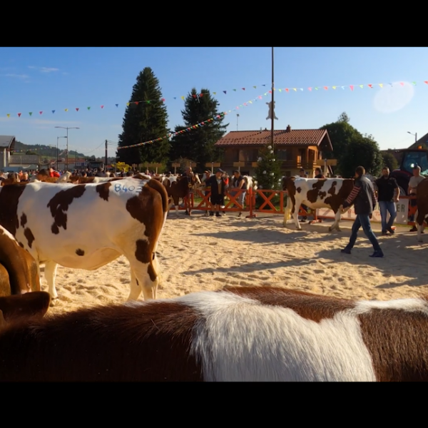 Comice de Mouthe 2024